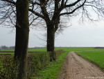 Holleweg